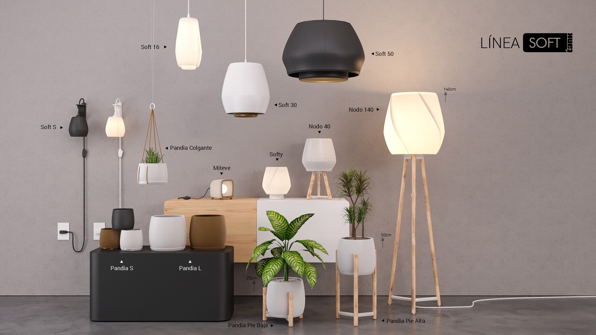linea-soft